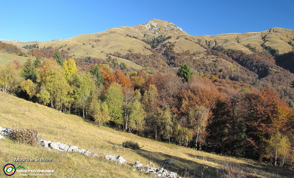 06 Si sale tra pascoli. Sullo sfondo il Sodadura..JPG